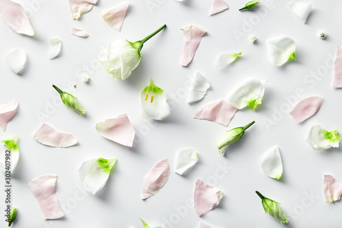 Flowers composition. Rose flower petals on white background. Pattern of a gentle petals top view