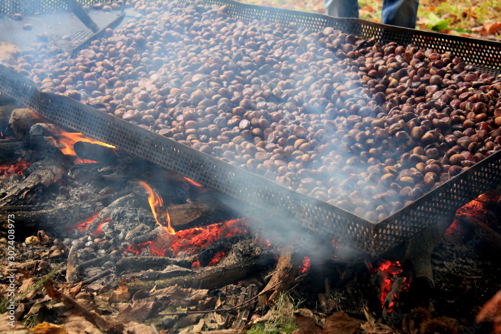 Asando castañas en la montaña en invierno/Chewing chestnuts on the mountain in autumn