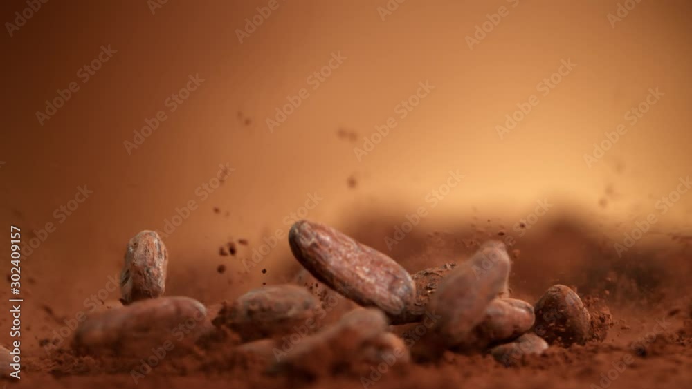 Super Slow Motion Shot of Raw Chocolate Beans Falling into Cocoa Powder at 1000fps. Super Slow Motion Shot of Raw Chocolate Beans Falling into Cocoa Powder at 1000fps.