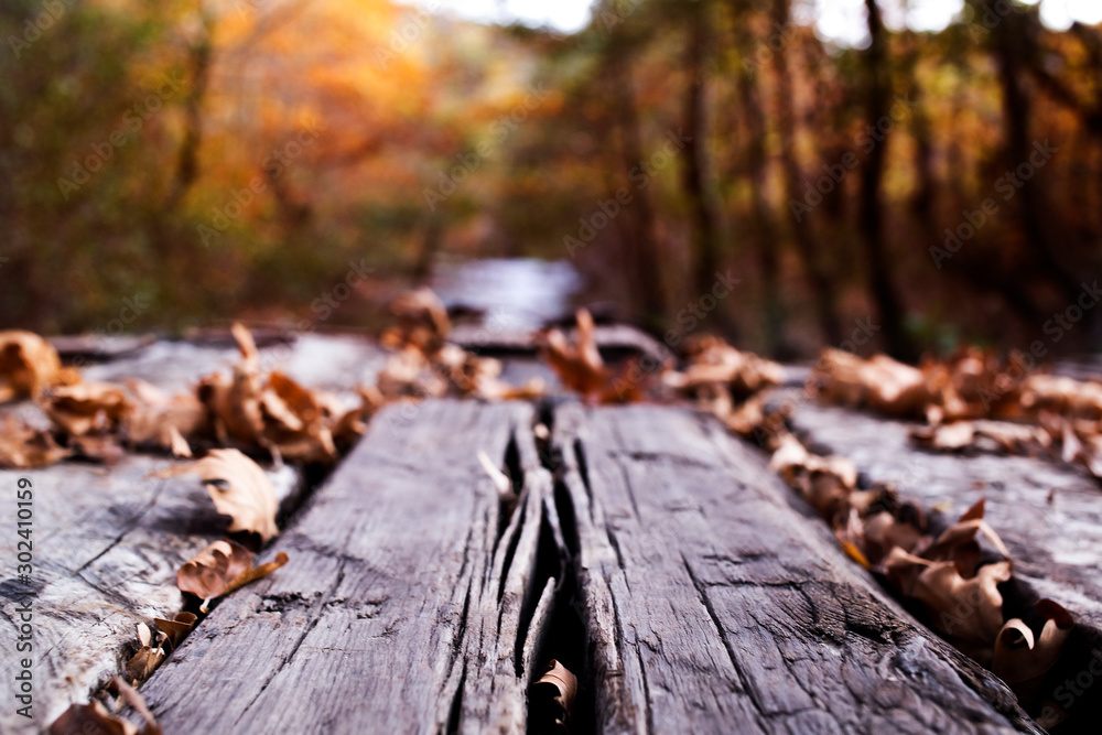 Fototapeta premium Autumn colored bidge