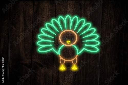 neon light turkey shaped on dark background