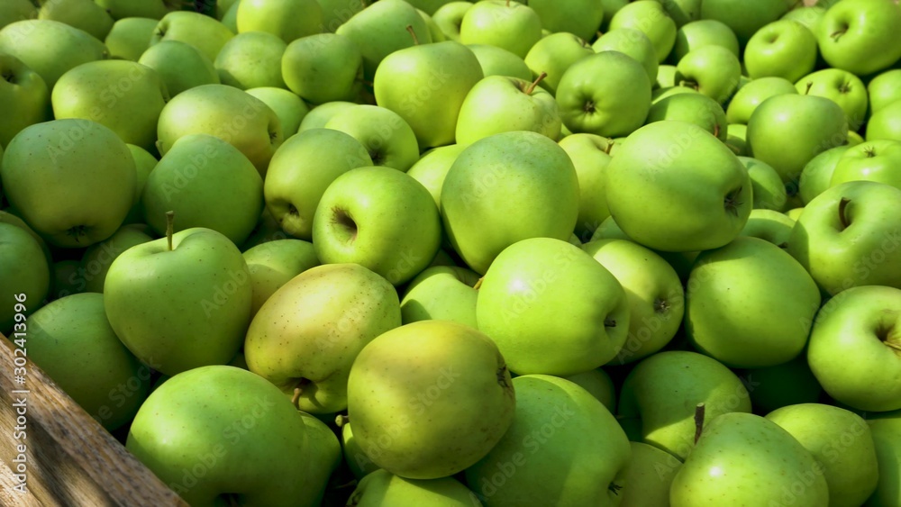 Young woman choosing apples in a supermarket picked from organic farm. 4k slowmotion. Closeup shot of hands of an attractive young girl with a fruits in it. Young woman choosing apples in a supermarket picked from organic farm. 4k slowmotion. Closeup shot of hands of an attractive young girl with a fruits in it.