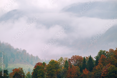 Landscape of misty autumn mountain hills in Slovenia