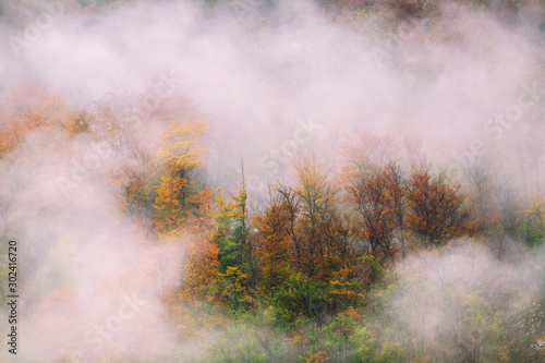 Landscape of misty autumn mountain hills  in Slovenia © Kavita