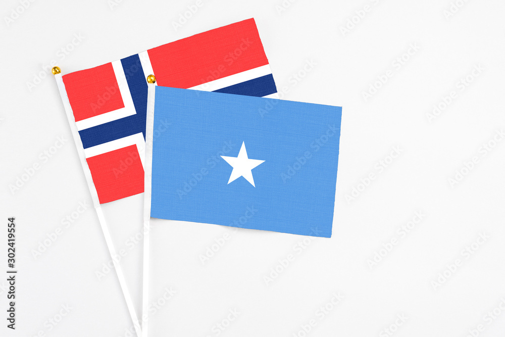 Somalia and Bouvet Islands stick flags on white background. High quality fabric, miniature national flag. Peaceful global concept.White floor for copy space.
