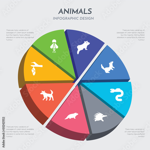 animals concept 3d chart infographics design included cocoon, coyote, desman, echidna, eel, ermine, ferret, firefly icons photo