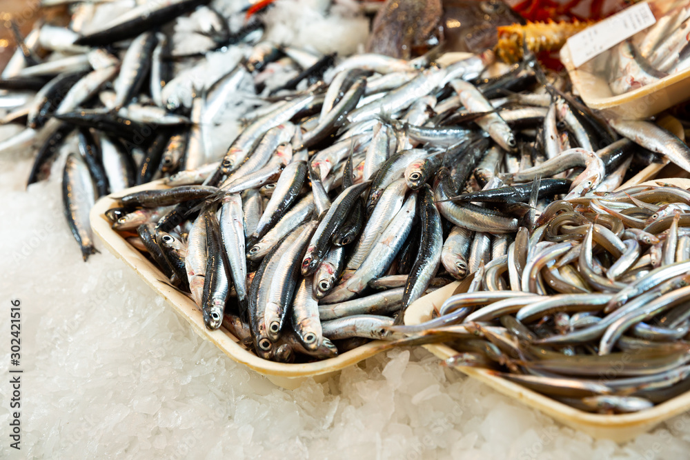 Fresh anchovies for sale at market