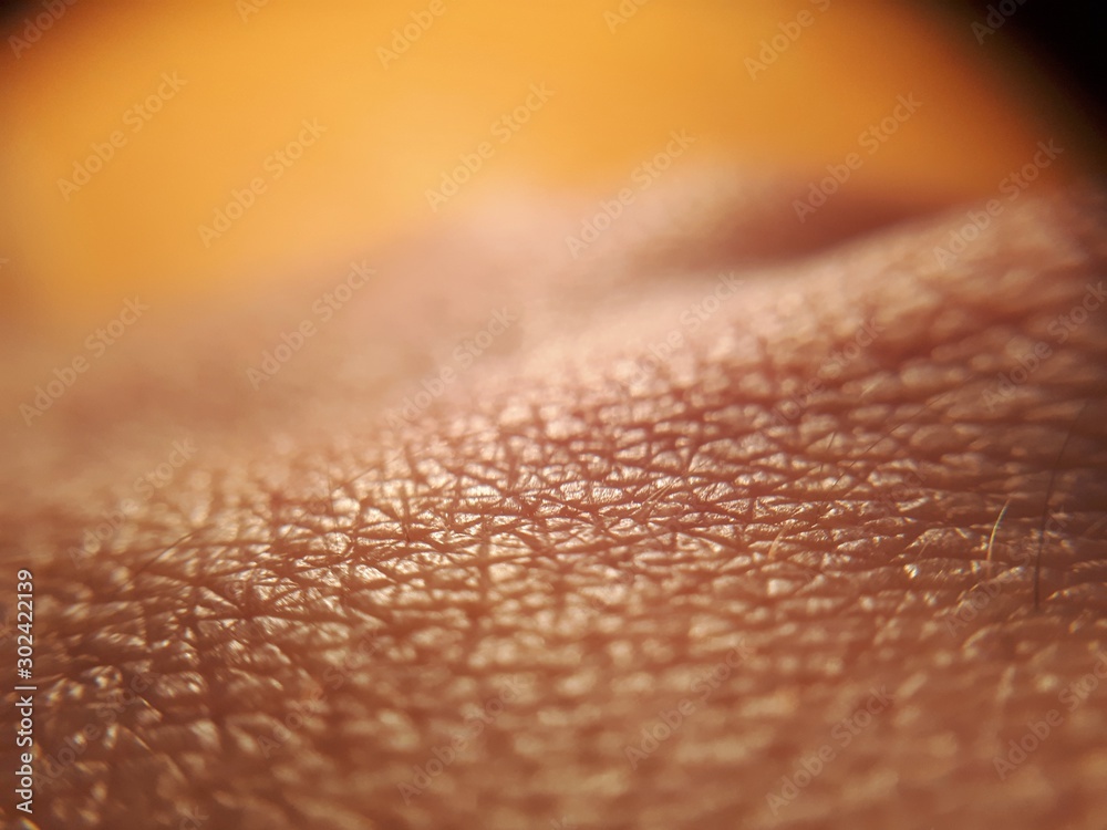 closeup skin of human hand.Medicine and dermatology concept. Details of human skin background for banner, texture and design concept. closeup skin of human hand.Medicine and dermatology concept. Details of human skin background for banner, texture and design concept.