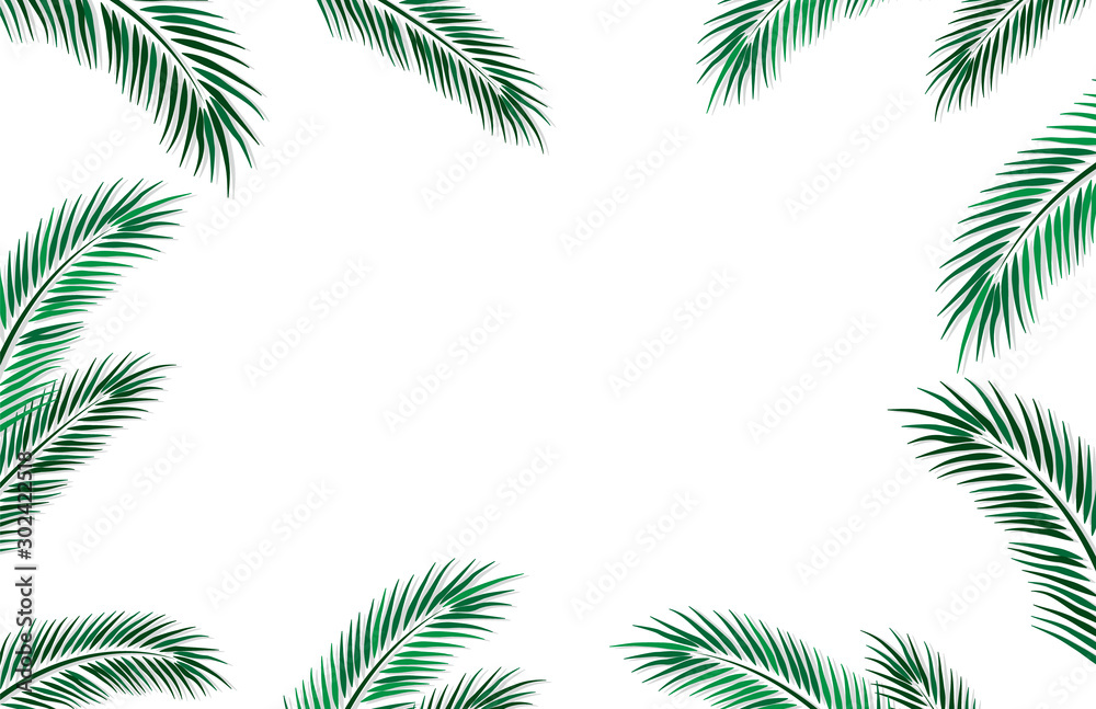 Beuatiful frame for social media with palm leaves. Advertisement template. Vector illustration Beuatiful frame for social media with palm leaves. Advertisement template. Vector illustration