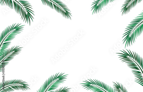 Beuatiful frame for social media with palm leaves. Advertisement template. Vector illustration