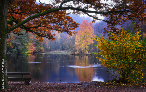 Fototapeta Naklejka Na Ścianę i Meble -  Autumn image of a small lake with a park bench under an oak in the foreground and colorful trees in the background reflecting in the water