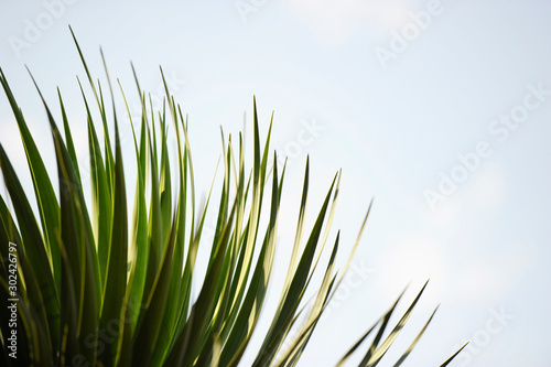  jardines costa brava