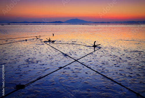 Anchorage at low tide in Suncheon bay, South Jeolla province, South Korea photo