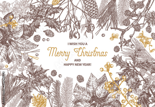 Sketch background made with christmas festive plants, branches of fir, larch, spruce, poinsettia, holly berry, mistletoe, cones. Holiday hand drawn botanical frame with greeting or invitation