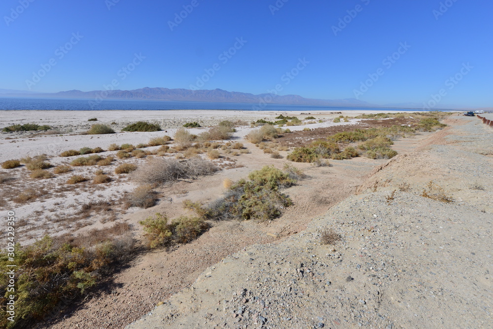 The beach area a the Salton sea in California