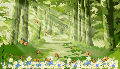 Vector landscape of Beautiful Senery of nature with sun light shining in morning forest foliage,Fantasy cartoon of green forest with butterfly and bee flying over daisy field in summer. photo