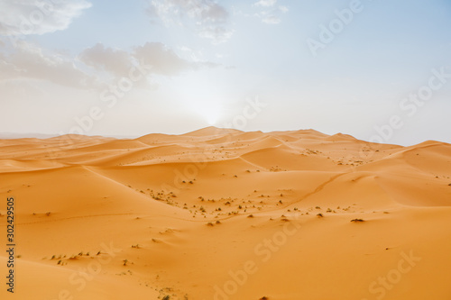 Desert landscape with orange dunes and blue sky at sunset.
