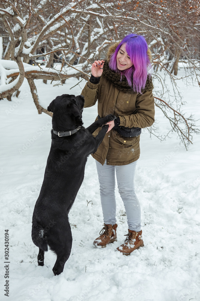 A young woman plays with her pet black Labrador outside in winter.