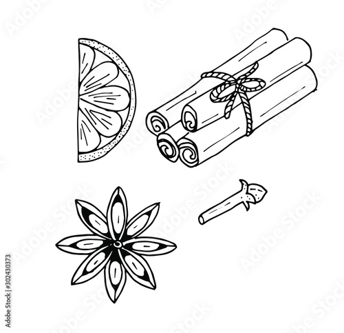 Set of christmas spices for mulled wine cloves, cinnamon, orange, cardamom. Hand drawn outline doodle illustration.