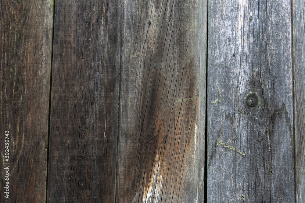 Grunge Wood panels for background Grunge Wood panels for background