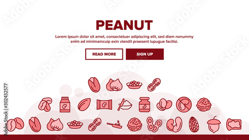 Peanut Food Landing Header Vector