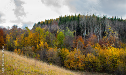 Beautiful sky and clouds over a forest on top of a hill near a small village, with autumn colored trees and autumn colors