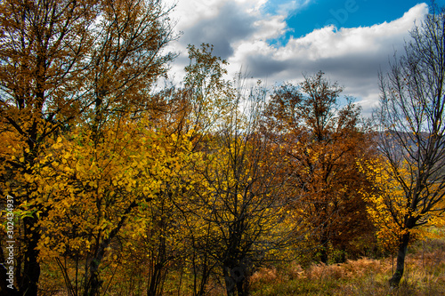Beautiful sky and clouds over a forest on top of a hill near a small village  with autumn colored trees and autumn colors
