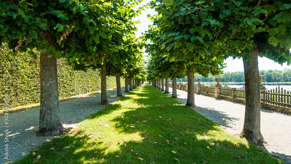 Strip of grass in the shade of trees, park near Bamberg