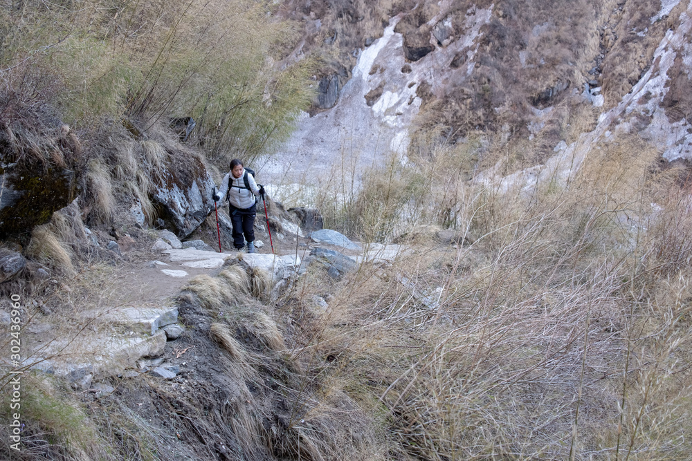 Trekker on the way to Annapurna base camp. Nepal Trekker on the way to Annapurna base camp. Nepal