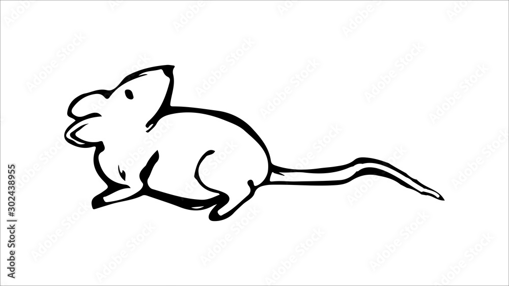 Hand sketch illustration of rat hand drawn mouse Hand sketch illustration of rat hand drawn mouse