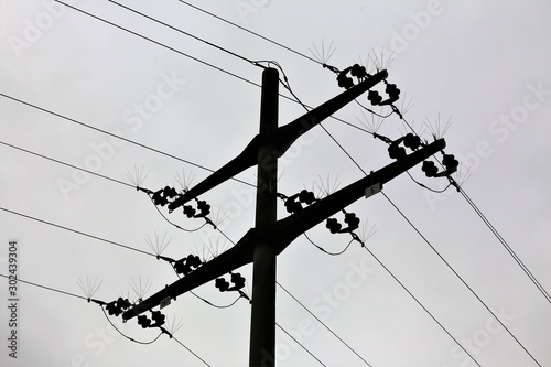 electric pole and wires