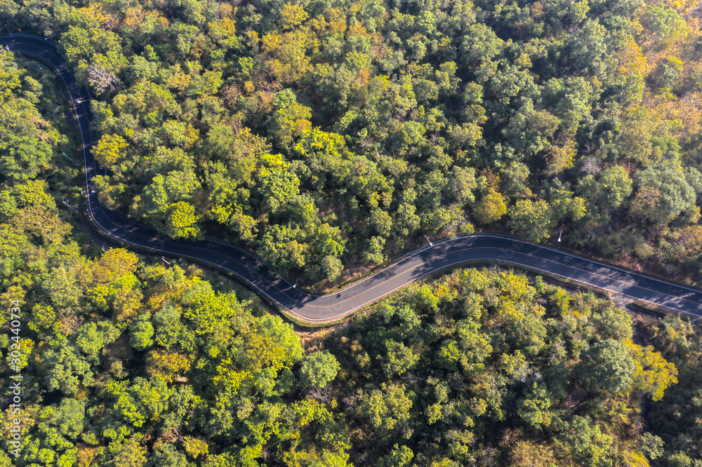 Aerial top view of beautiful road through the green forest, road going through forest from above. Aerial top view of beautiful road through the green forest, road going through forest from above.