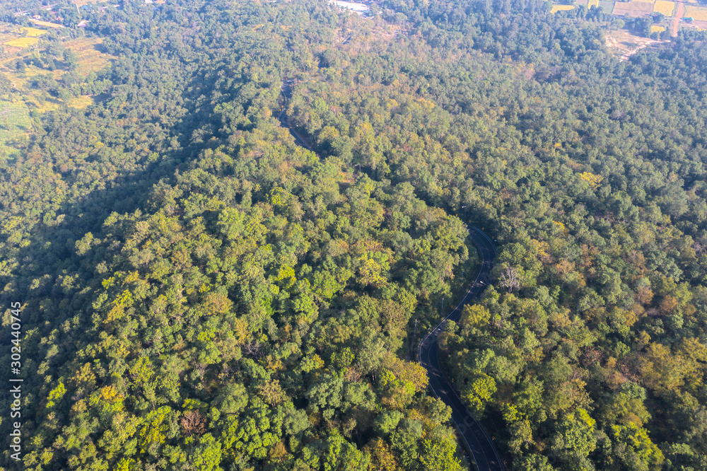 Aerial top view of beautiful road through the green forest, road going through forest from above.