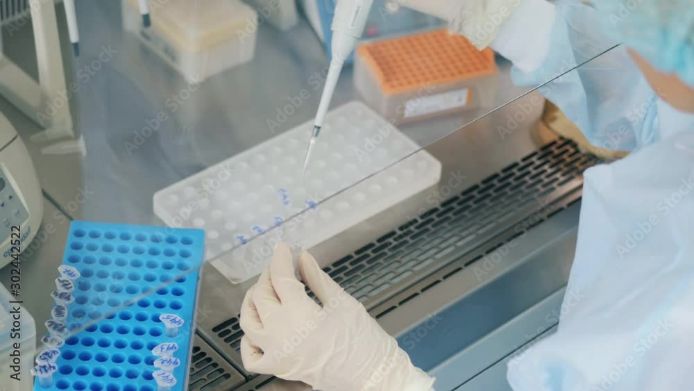 Lab worker is using a pipette to fill the test tubes