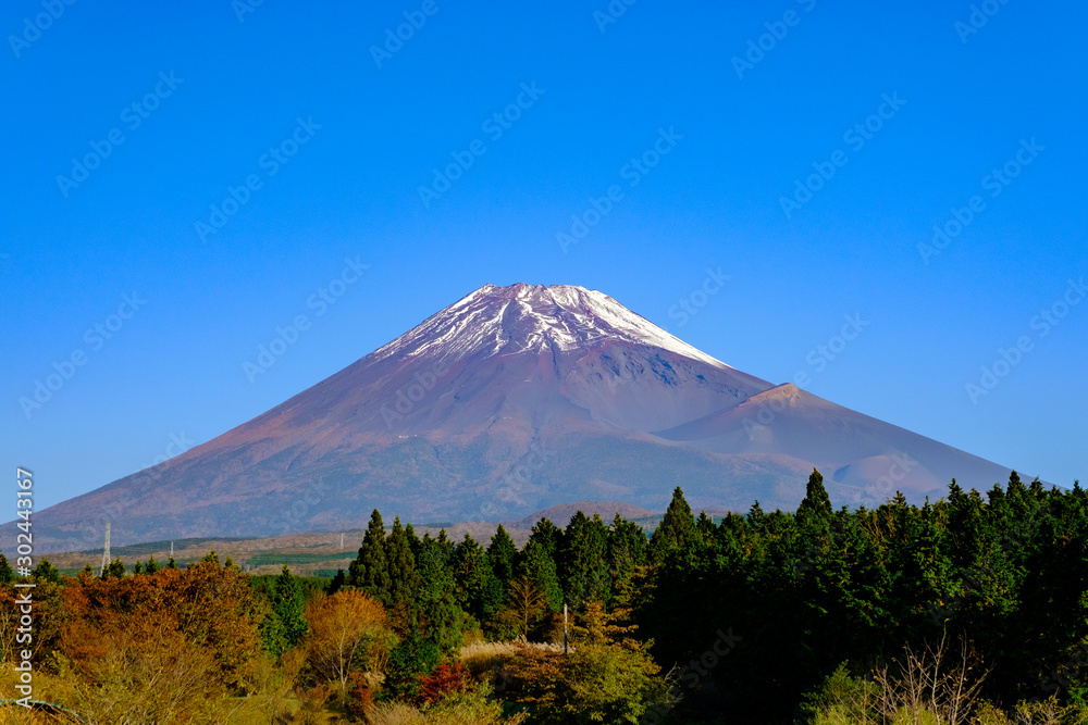 秋朝の富士山