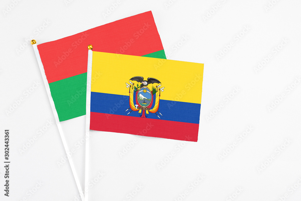 Fototapeta premium Ecuador and Burkina Faso stick flags on white background. High quality fabric, miniature national flag. Peaceful global concept.White floor for copy space.