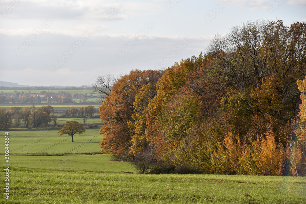 Fototapeta premium Autumn landscape on the countryside in Poland. 