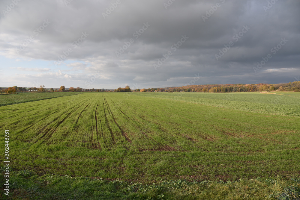 Autumn landscape on the countryside in Poland. 