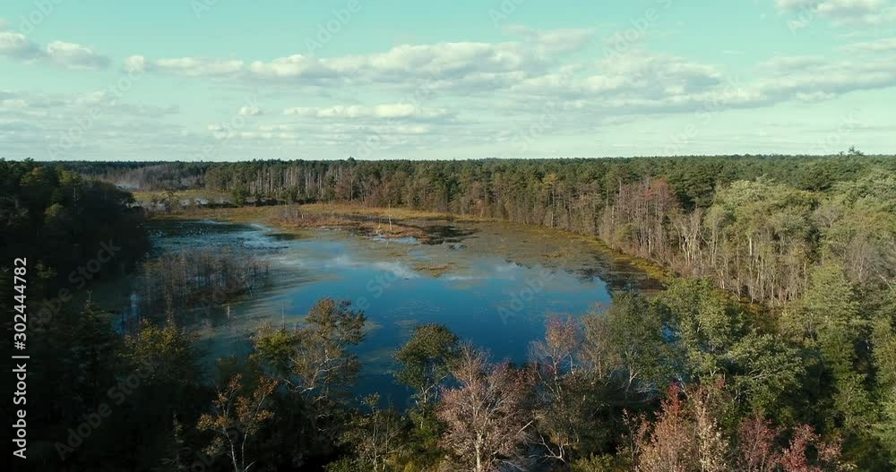 Aerial - slow drone flight over the Shane Branch in the Pine Barrens in Southern New Jersey Aerial - slow drone flight over the Shane Branch in the Pine Barrens in Southern New Jersey