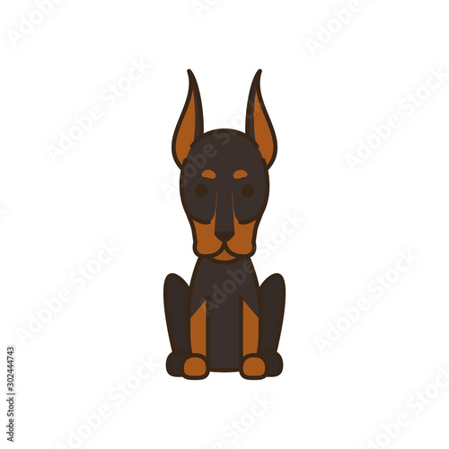 cute little dog doberman fill style icon