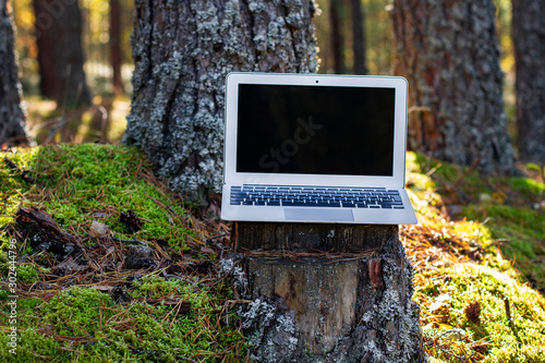 laptop on a stump in the forest