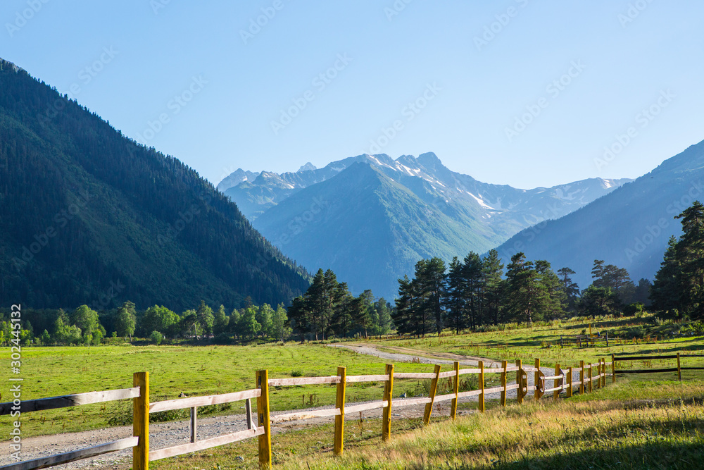 mountain landscape of the pasture in summer