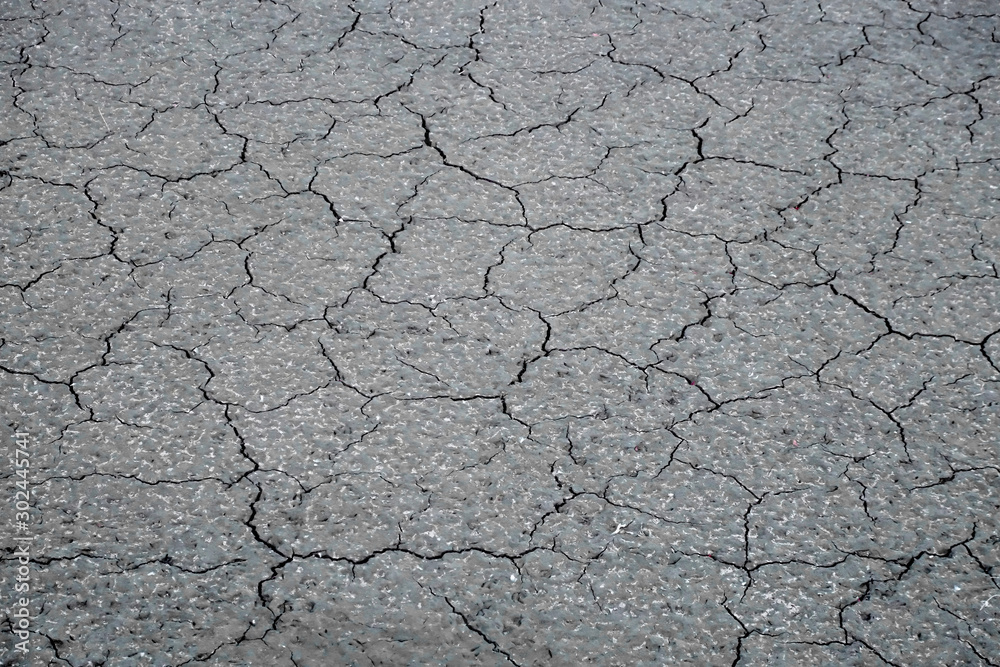 Background of cracked soil of a drained pond Background of cracked soil of a drained pond