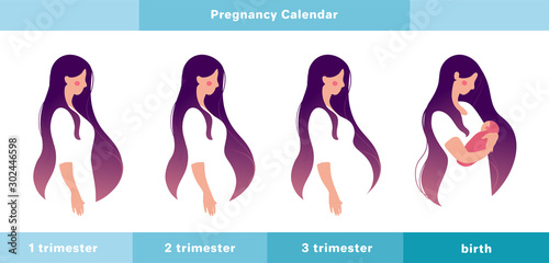 Pregnancy calendar. A pregnant woman in the 1st, 2nd, 3rd trimester of pregnancy and with a newborn in her arms. Info graphic with a cute girl. Flat stock vector illustration photo