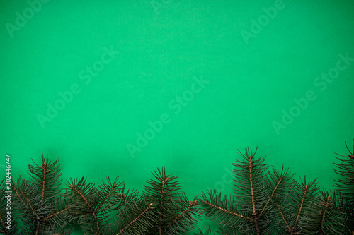 Christmas concept. Green branches of a Christmas tree on a green background, top view, flat lay.