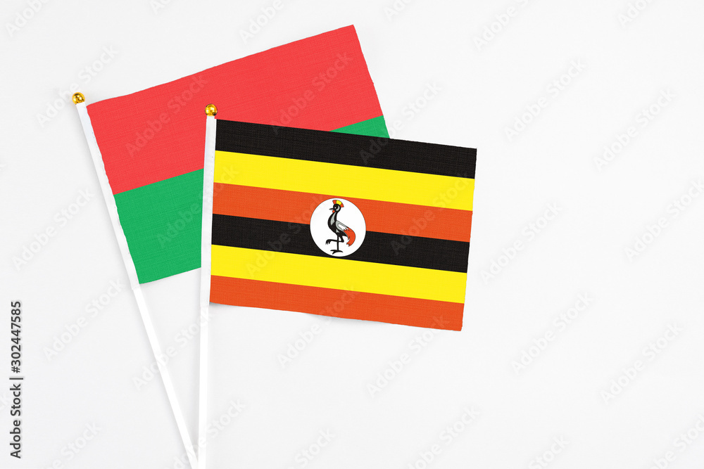 Fototapeta premium Uganda and Burkina Faso stick flags on white background. High quality fabric, miniature national flag. Peaceful global concept.White floor for copy space.