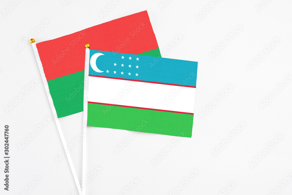 Uzbekistan and Burkina Faso stick flags on white background. High quality fabric, miniature national flag. Peaceful global concept.White floor for copy space. Uzbekistan and Burkina Faso stick flags on white background. High quality fabric, miniature national flag. Peaceful global concept.White floor for copy space.