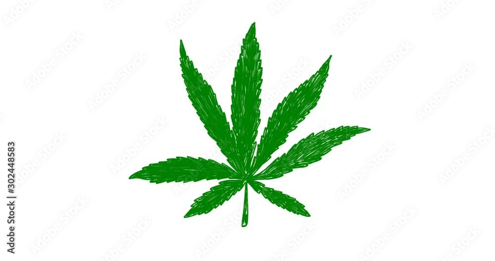 Hand-drawn animation of a medical marijuana leaf Hand-drawn animation of a medical marijuana leaf