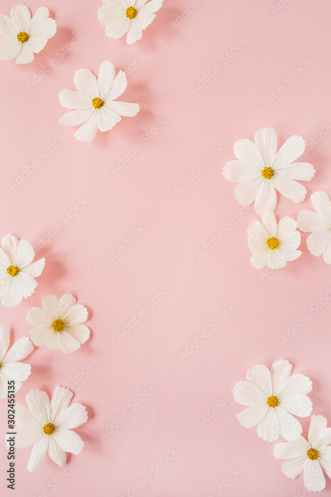 Minimal styled concept. White daisy chamomile flowers on pale pink background. Creative lifestyle, summer, spring concept. Copy space, flat lay, top view.