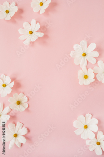 Minimal styled concept. White daisy chamomile flowers on pale pink background. Creative lifestyle, summer, spring concept. Copy space, flat lay, top view. © Floral Deco